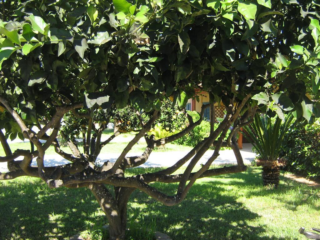 Tenuta Paifer Otranto Luaran gambar